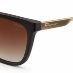 Lacoste Wayfarer frame Sunglasses with Brown Lenses