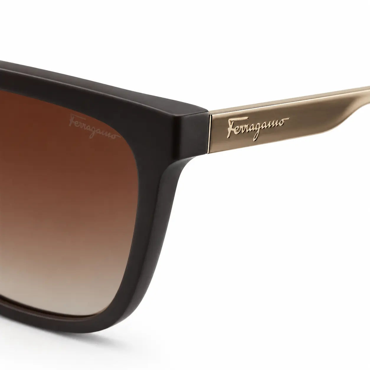 Lacoste Wayfarer frame Sunglasses with Brown Lenses